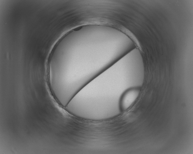 X0000073951099200608210936