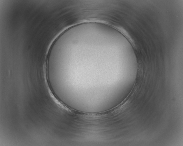 X0000073951100200608210936