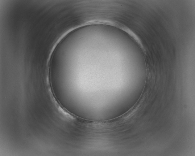 X0000073951102200608210936