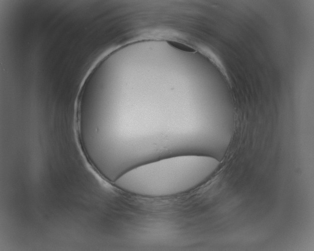 X0000073951103200608210936