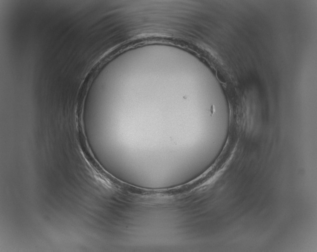 X0000073951113200608210935