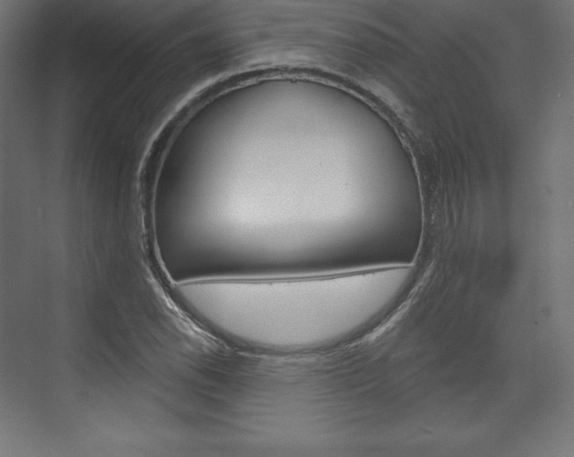 X0000073951118200608210935