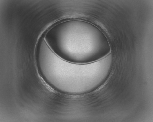 X0000073951122200608210935