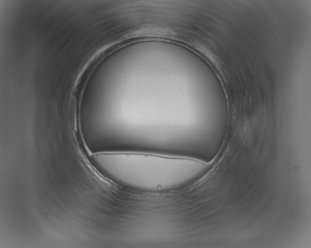 X0000073951123200608210935