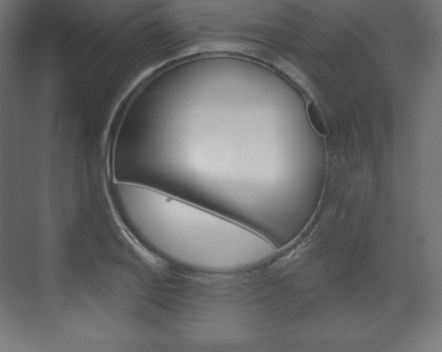 X0000073951127200608210935