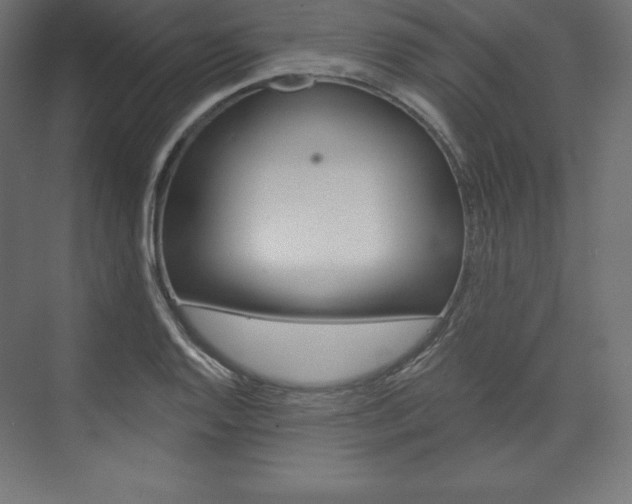 X0000073951128200608210935