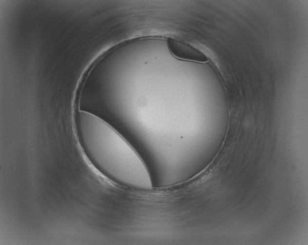 X0000073951135200608210935