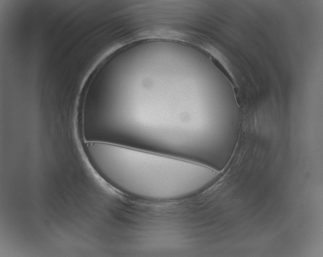 X0000073951139200608210935