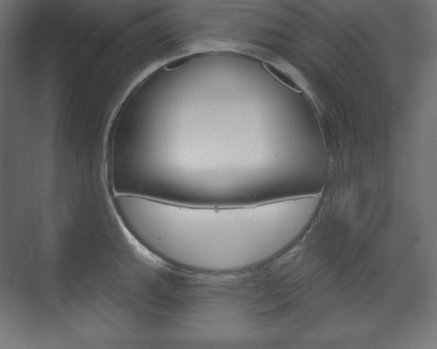 X0000073951143200608210935