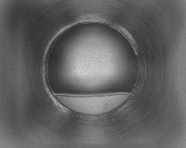 X0000073951144200608210936