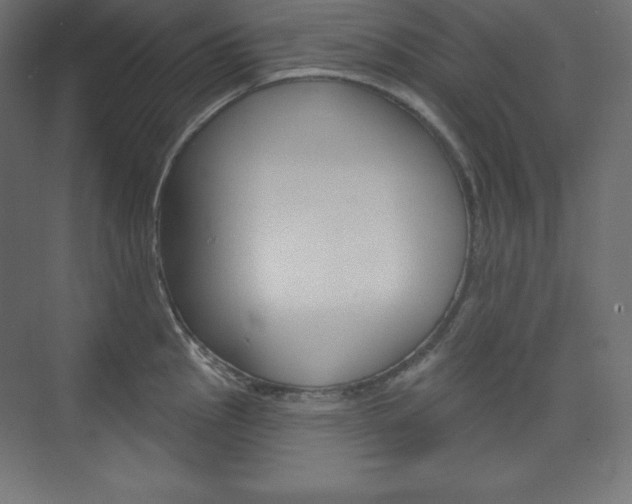 X0000073951145200608210936