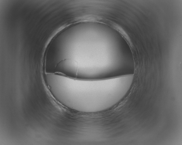 X0000073951146200608210936