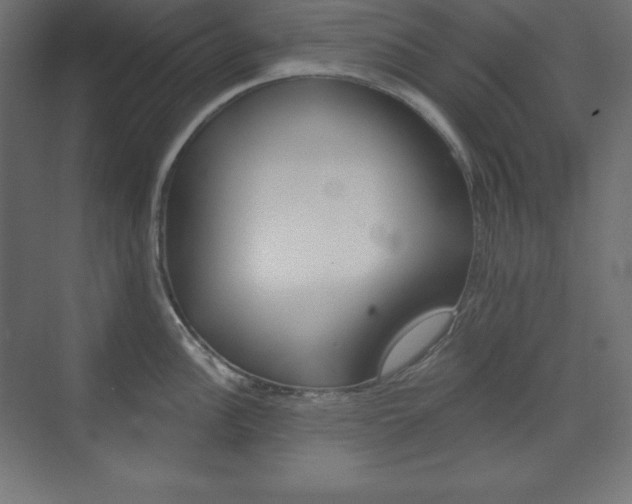 X0000073951148200608210936