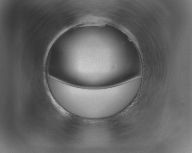 X0000073951152200608210936