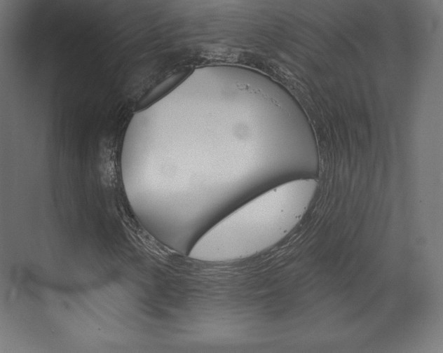 X0000073951154200608210935
