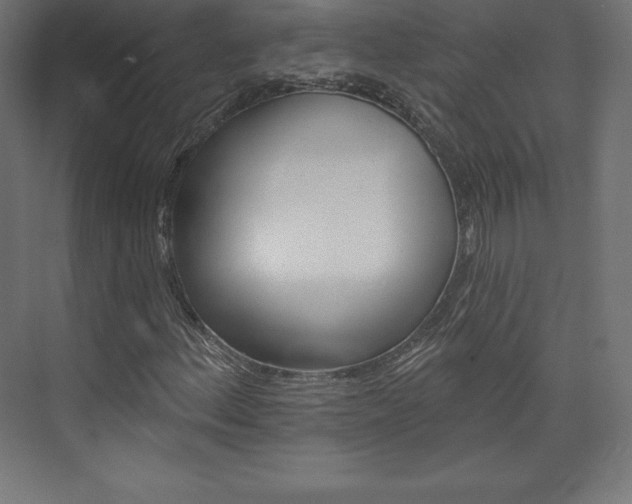 X0000073951156200608210935