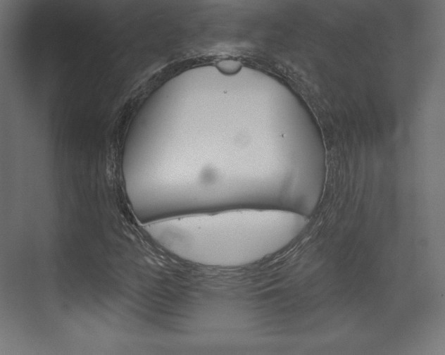 X0000073951158200608210935