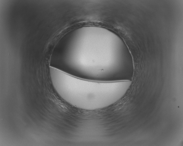 X0000073951159200608210935