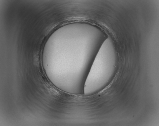 X0000073951162200608210935