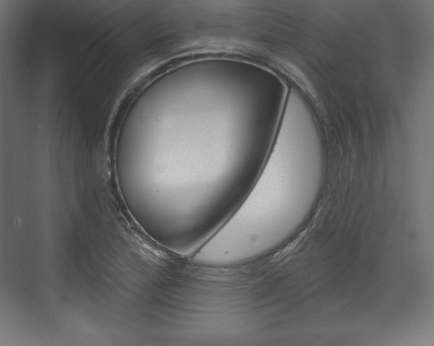 X0000073951172200608210935
