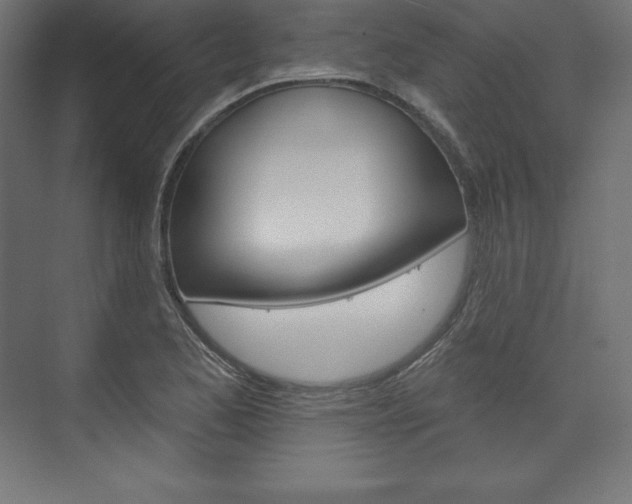 X0000073951173200608210934