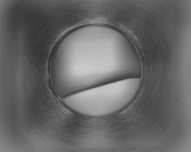 X0000073951174200608210934