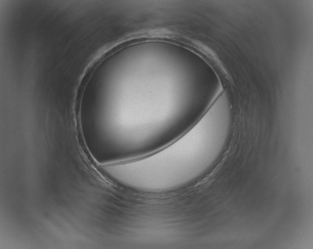 X0000073951176200608210934