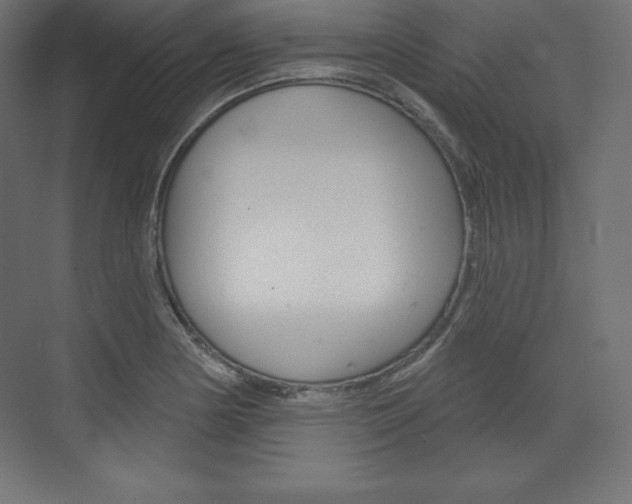 X0000073951178200608210934