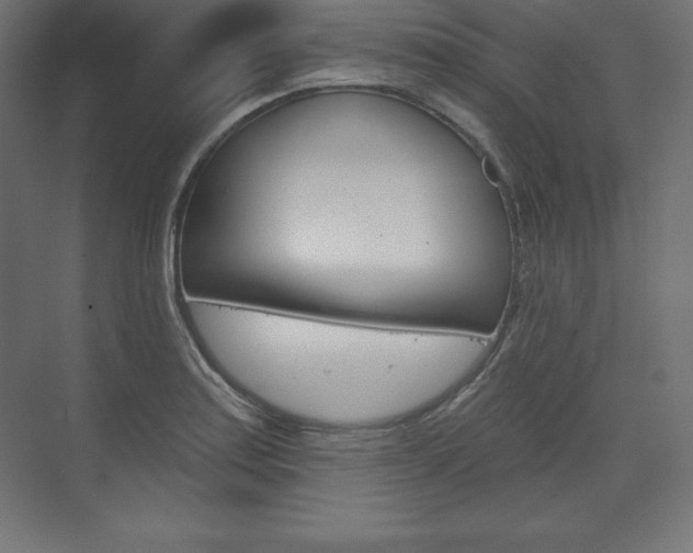 X0000073951179200608210934