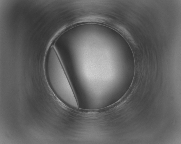 X0000073951180200608210934