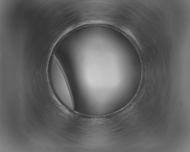 X0000073951181200608210934