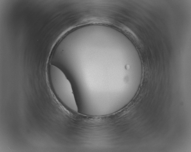X0000073951182200608210934
