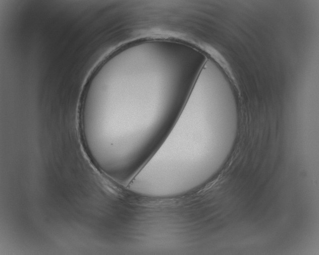 X0000073951183200608210934