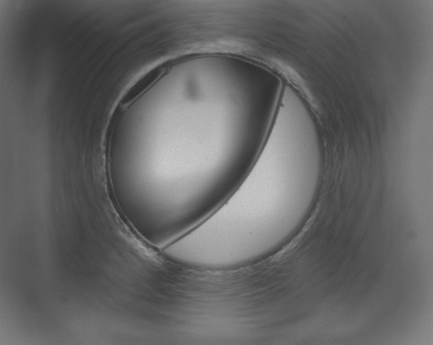 X0000073951184200608210934