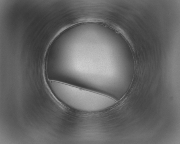 X0000073951187200608210934