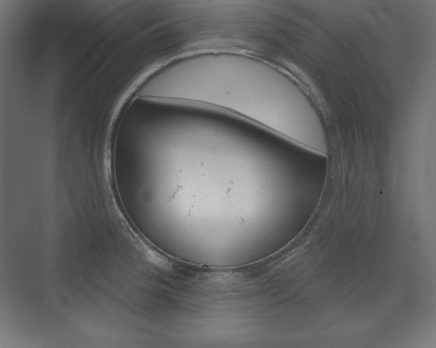 X0000073951188200608210934