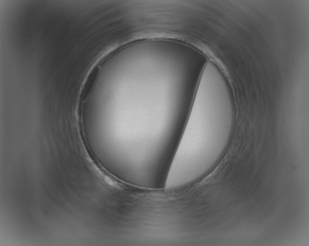 X0000073951189200608210934