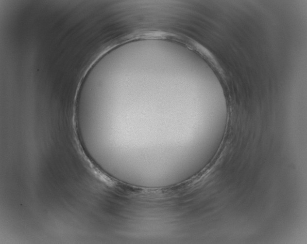 X0000073951194200608210934