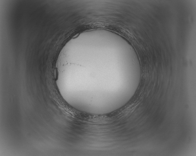 X0000073951201200608210933