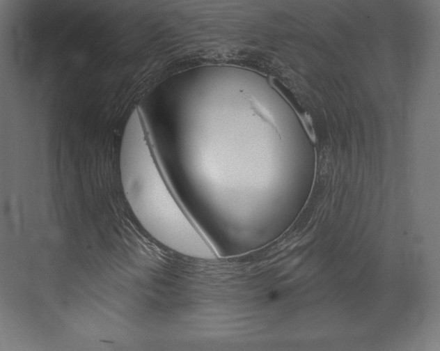 X0000073951202200608210933