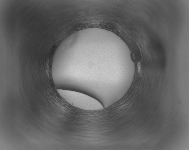 X0000073951203200608210933