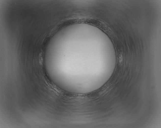 X0000073951204200608210933