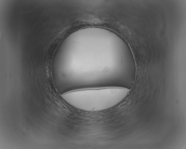 X0000073951205200608210933
