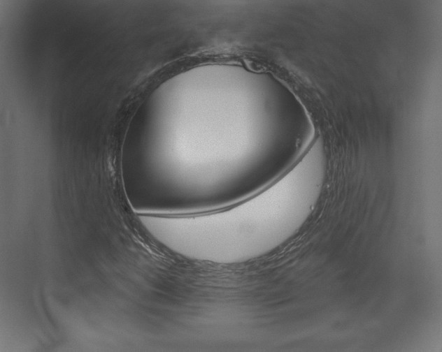 X0000073951206200608210933