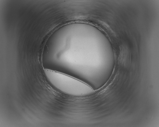 X0000073951209200608210933