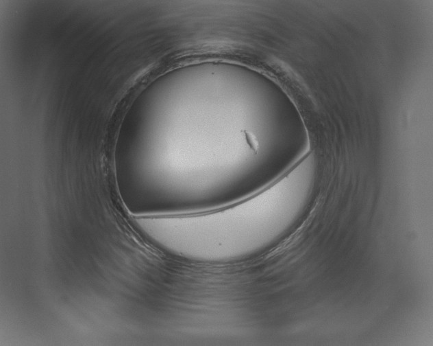 X0000073951210200608210933