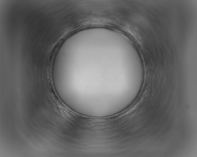 X0000073951211200608210933
