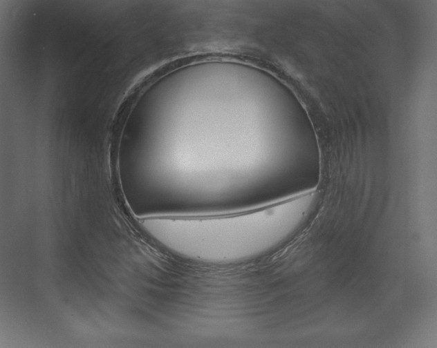 X0000073951214200608210933