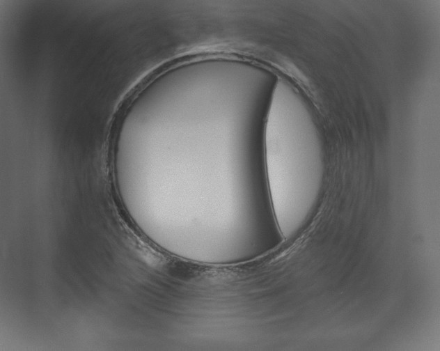 X0000073951216200608210933