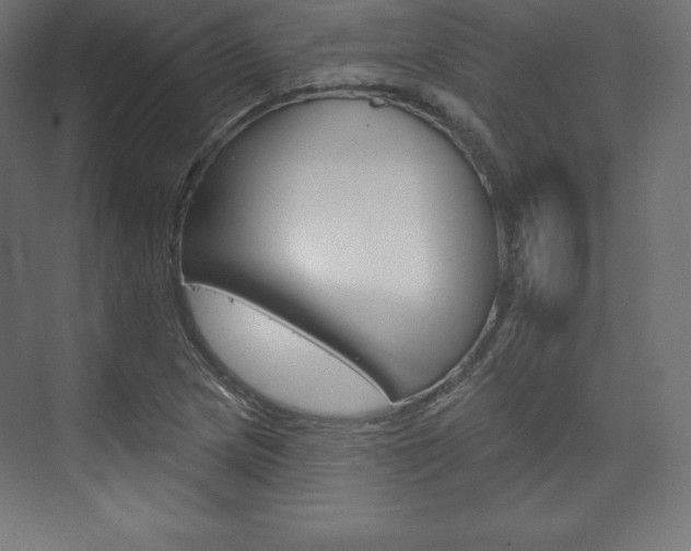 X0000073951217200608210934